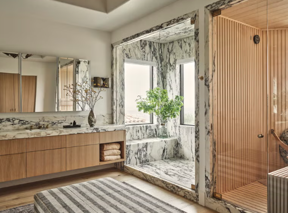 Shower Stall Design Ideas for Modern Homes